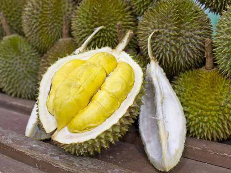 durian