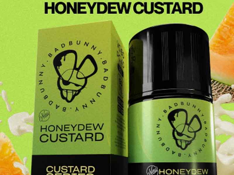 Honeydew Custard